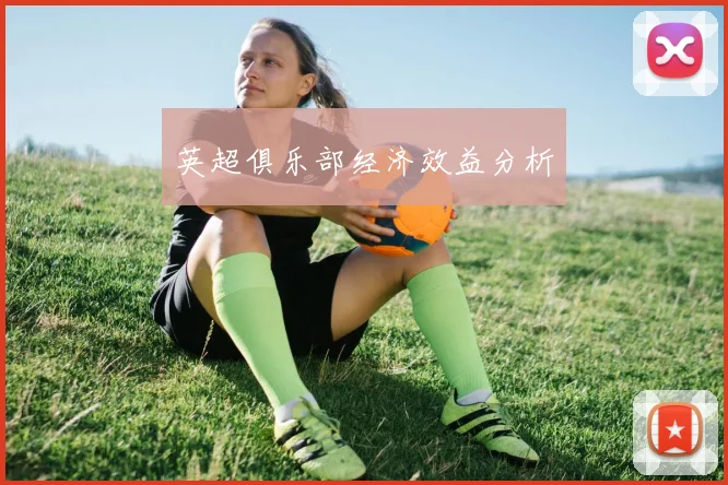 英超俱乐部经济效益分析