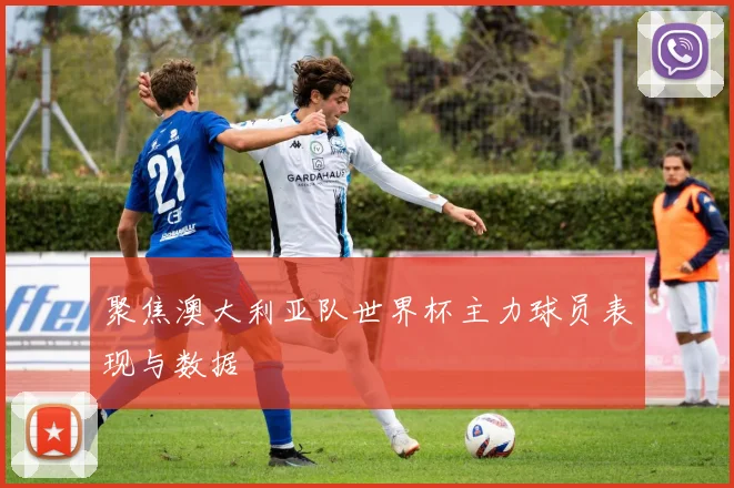 聚焦澳大利亚队世界杯主力球员表现与数据