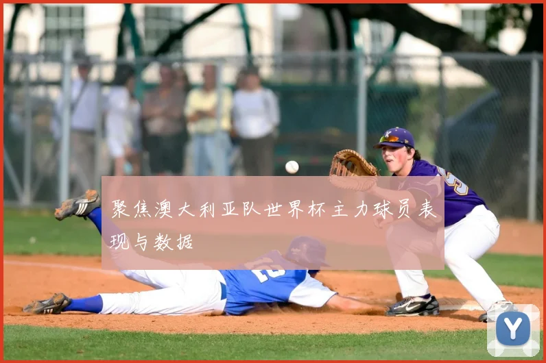 聚焦澳大利亚队世界杯主力球员表现与数据