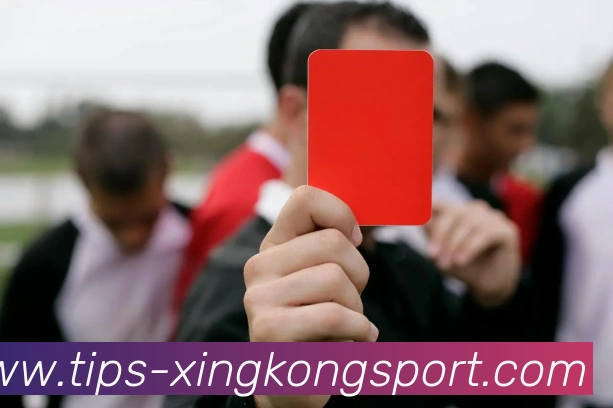 星空体育APP 体育赛事宣传图